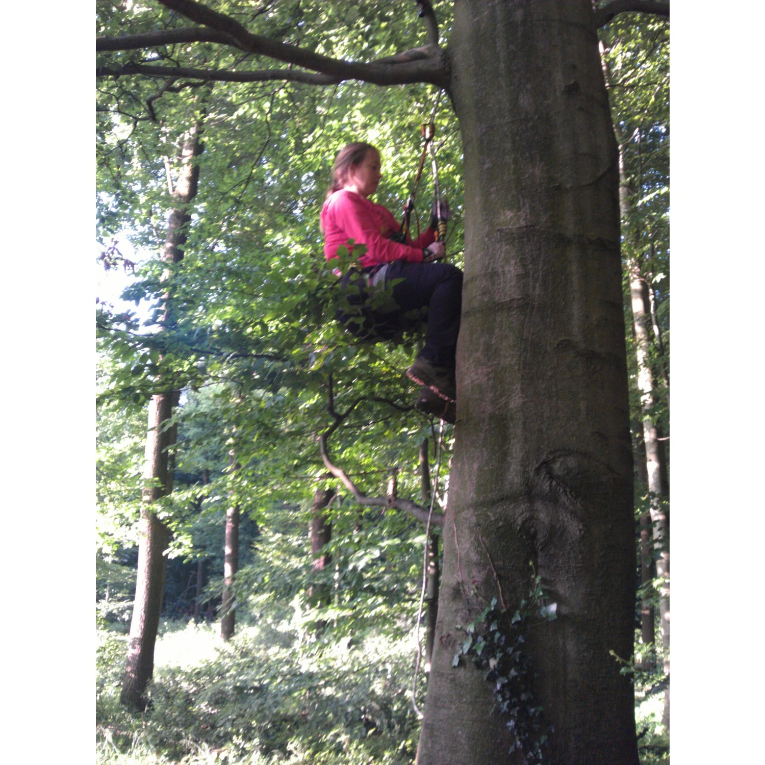 Mammut - Ophir 3 Slide - Baudrier – Image 5